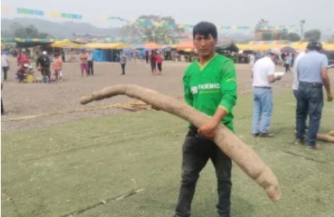 Madre de Dios: Fiscalía investiga asesinato de defensor ambiental como posible represalia